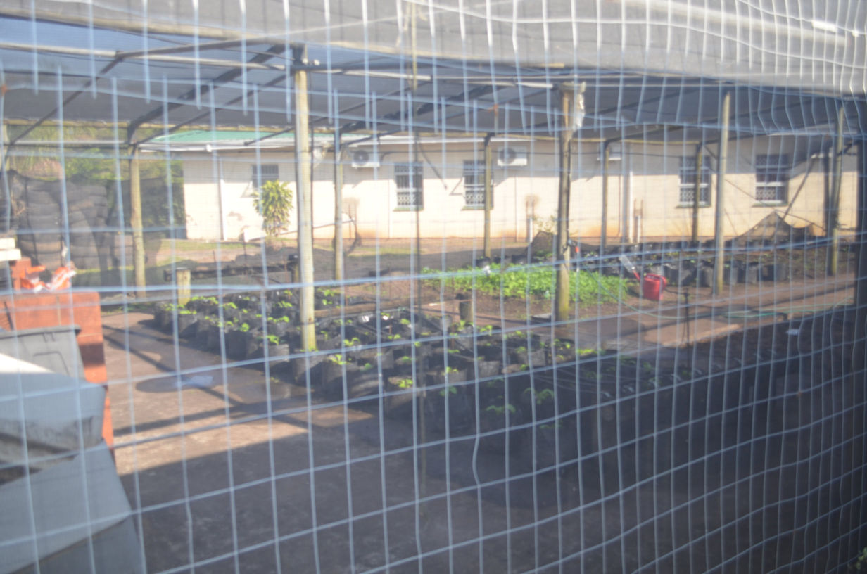 Chatsworth Cheshire Vegetable Garden